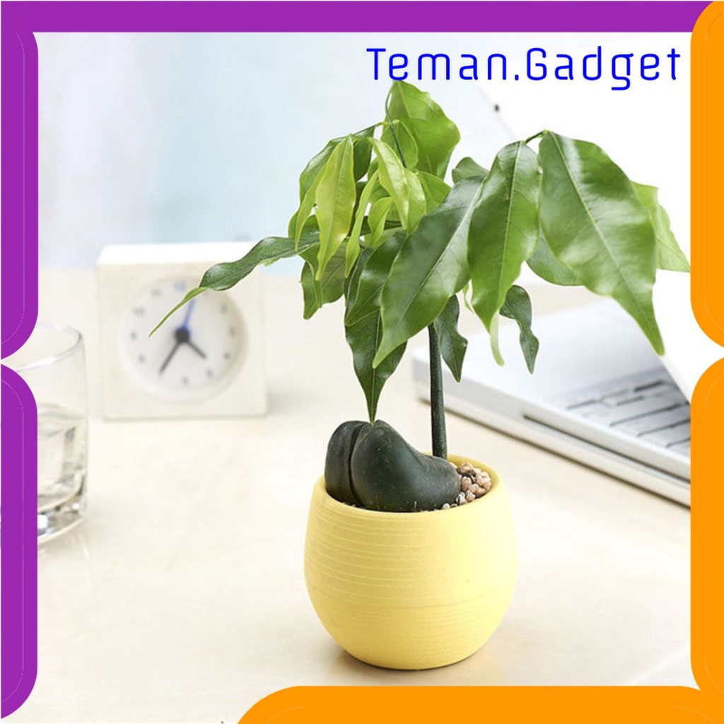 TG -  ART Mini Pot Bunga Hias Kaktus Tanaman - 5pcs