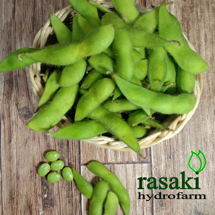 

✨NEW✨ -kacang edamame fresh 1 kg- 1.1.23