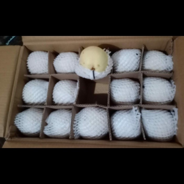 

✨NEW✨ -Buah Sweet Pear 1 kg Pir Madu 1 kilogram Fresh Import Manis - Sweet Pear- 2.2.23