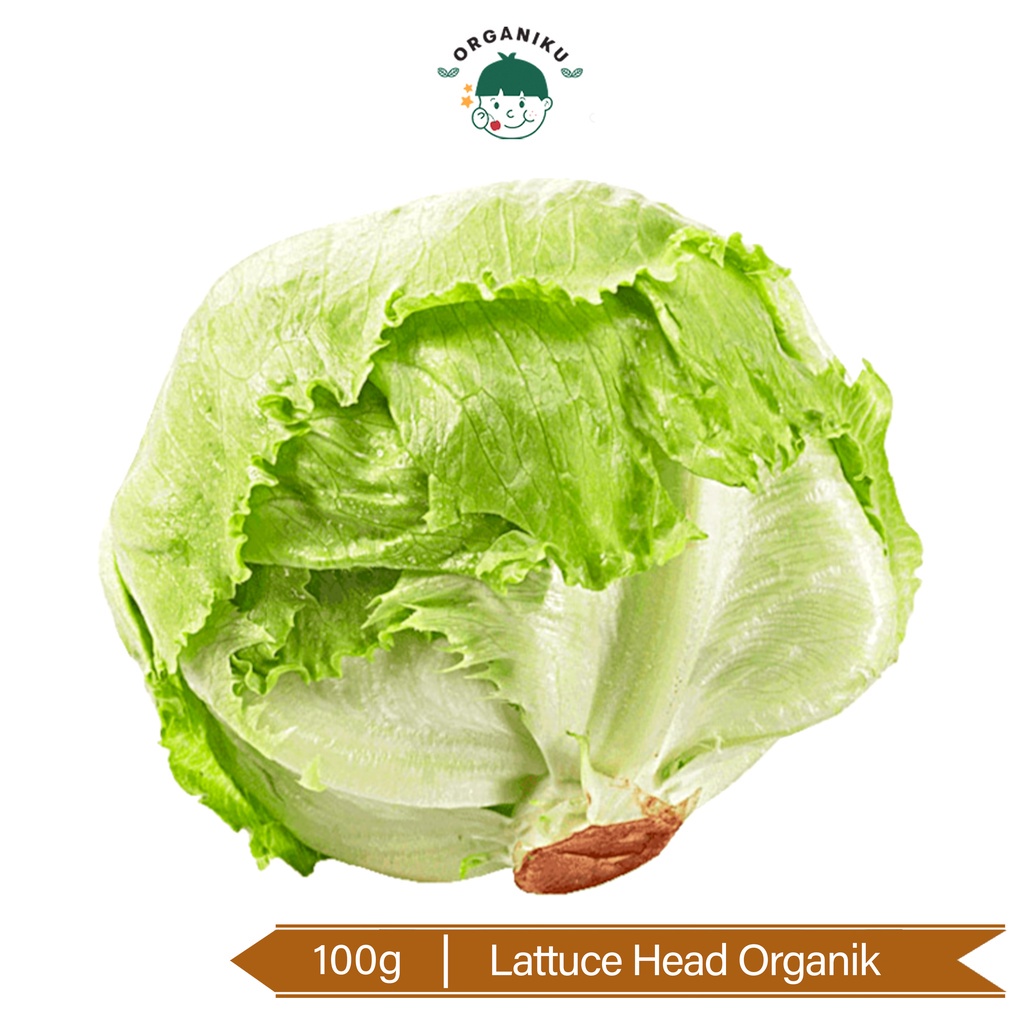 

Lettuce Head Organik / Organic Lettuce Head 100g (CitraFood)