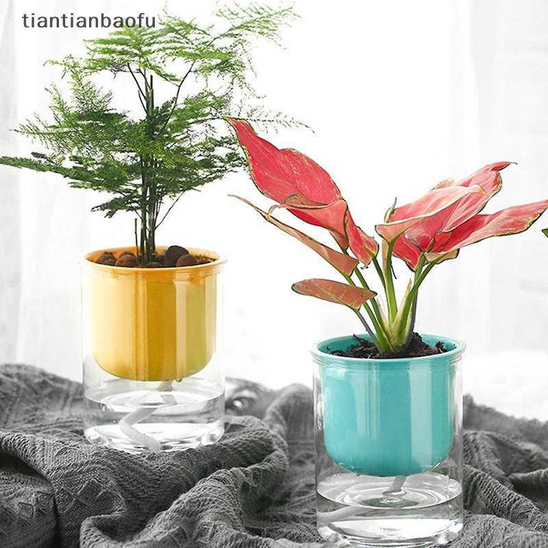 [tiantianbaofu] Pot Bunga Gentong Air Vas Wadah Tabletop Plants Boutique