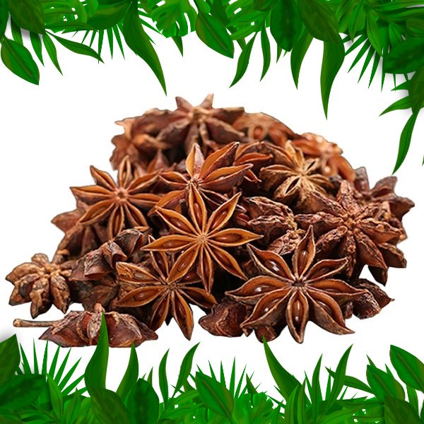 

SAYURAN FRESH NUSANTARA - REMPAH BUNGA LAWANG 1 PACK