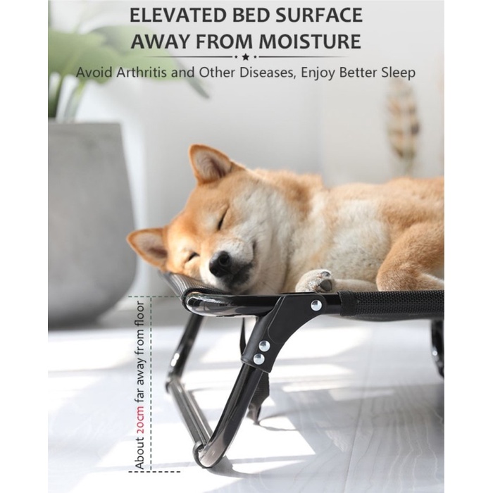 Foldable Premium Elevated Pet Bed / Tempat Tidur Hewan Lipat