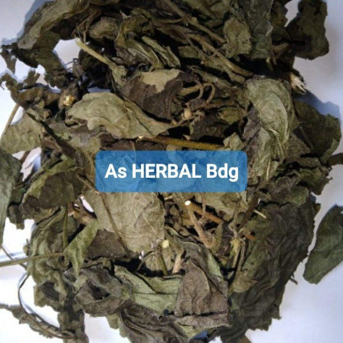 

Jual Daun Kirinyuh atau Marenggo Kering 500 gram
