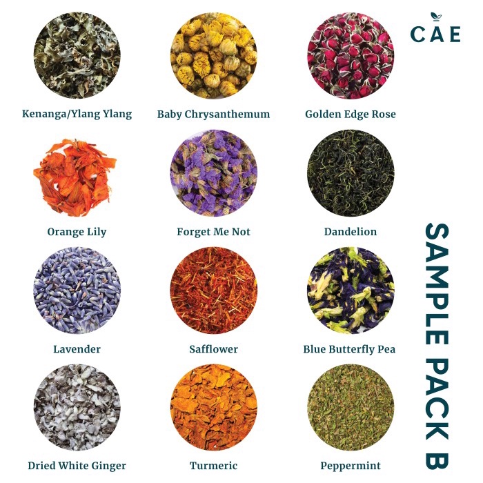 

Sample Pack B | Chryshant Golden Rose Butterfly Pea Lavender Mint
