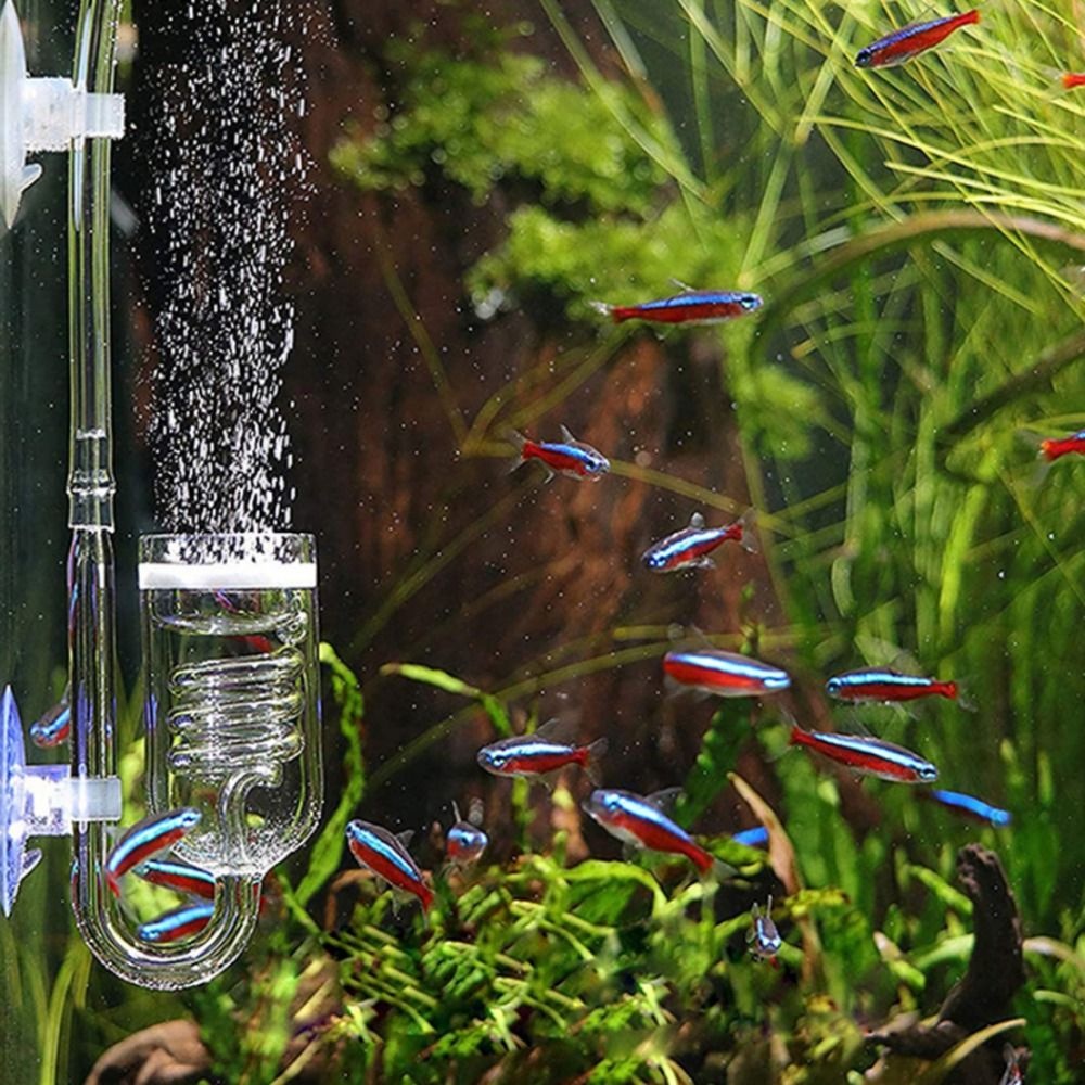 [Elegan] Aerator Pompa Kaca2023Dengan Suction Cup Klip Aquarium Rumah Tangga Reaktor Dioksida