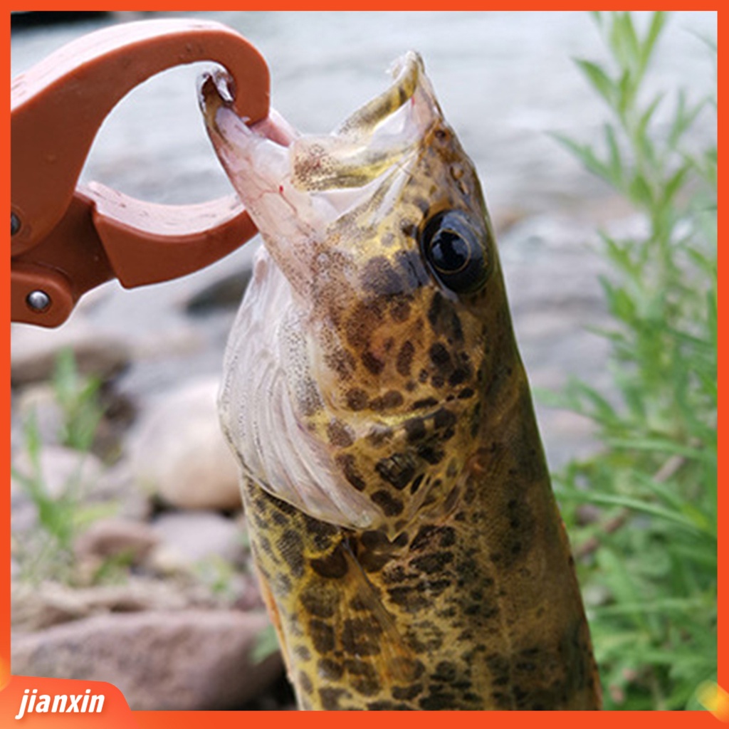 (In Stock) Gripper Pancing Ringan Banyak Digunakan Warna Acak Anti Gigitan Ikan Gantung Fish Lip Holder Untuk Ikan Kecil