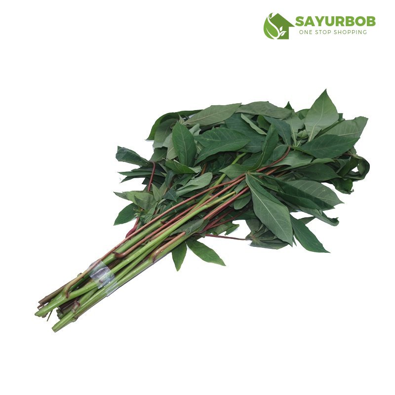 

Daun Singkong Muda 2ikat SayurBob