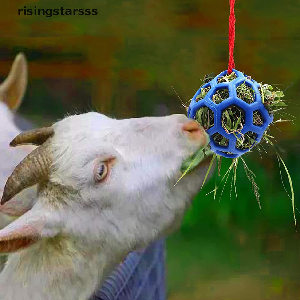 Rsid Span-new Horse Treat Ball Hay Toy Ball Mainan Makan Gantung Untuk Jelly Kambing Kuda