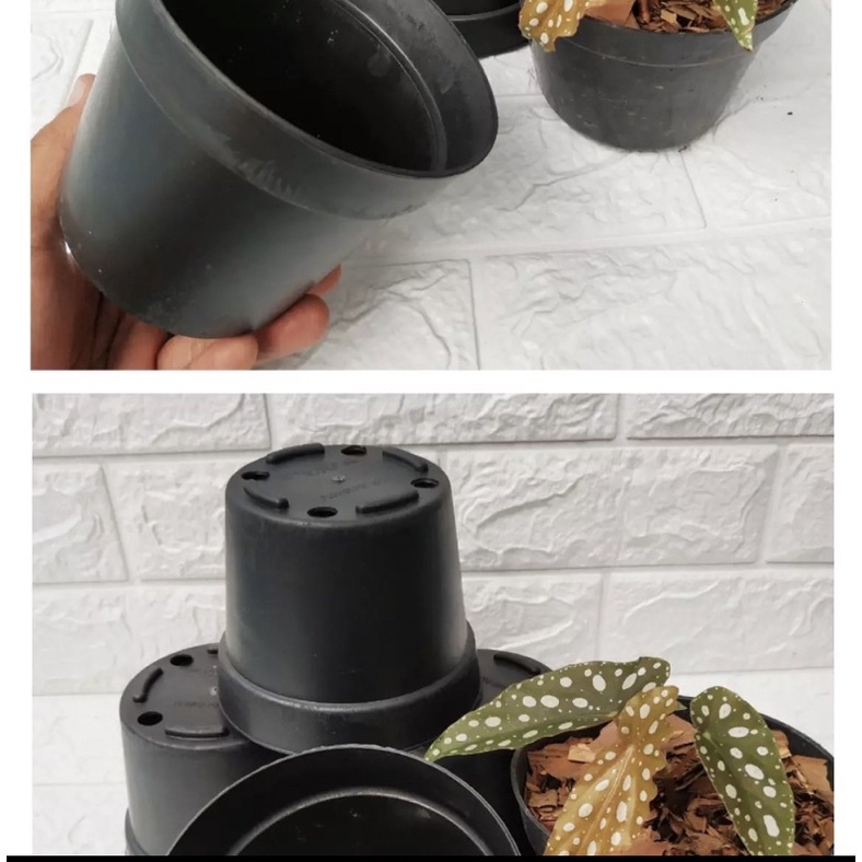 Pot Tanaman - Pot Bunga - Pot Plastik