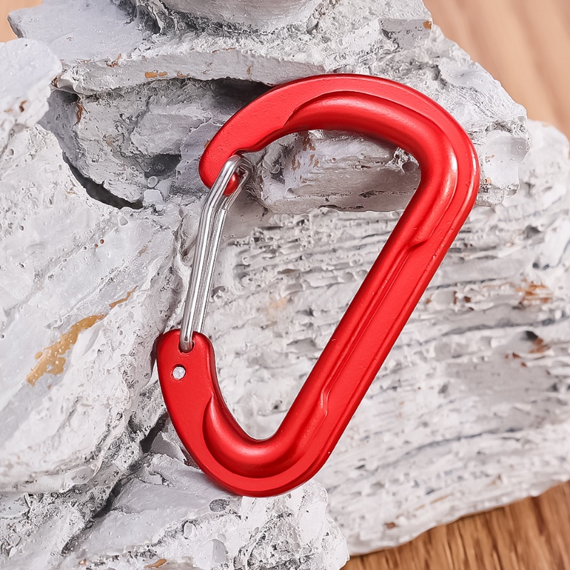 6warna Carabiner Gunung Paduan Aluminium Profesional Tipe D/Ketahanan Aus Luar Ruangan Hiking Buckle Hook