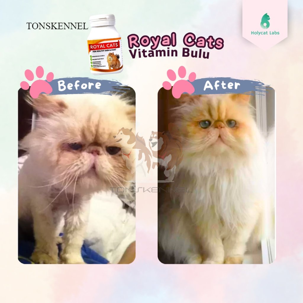 Vitamin Bulu Rontok Melebatkan Mengkilapkan Bulu Kucing Royal Cats For Healthy Skin and Coat