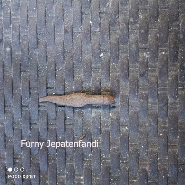 pusaka sepuh banyak angrem pamor singkir Paling Murah FJF7655