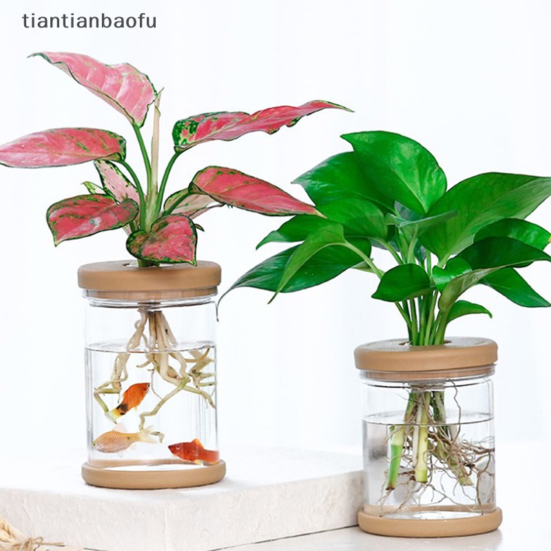 [tiantianbaofu] Pot Tanaman Plastik Vas Plang Air Plastik Transparan Stylish Container Butik