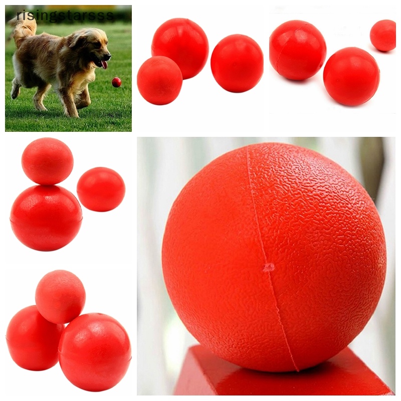 Outdoor Indestructible Solid Bola Karet Hewan Peliharaan Kucing Anjing Pelatihan Mengunyah Bermain Fetch Bite Mainan Baru