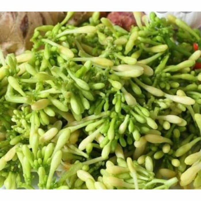 

50 gr. kembang pepaya sayur /kembang gandul segar