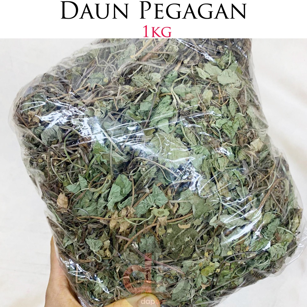 

Daun Pegagan Kering 1kg Daun ANTANAN