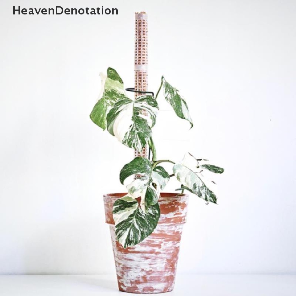 [HeavenDenotation] New 25cm Tongkat Tiang Tanaman Panjat Plant Growing Support Stick HDV