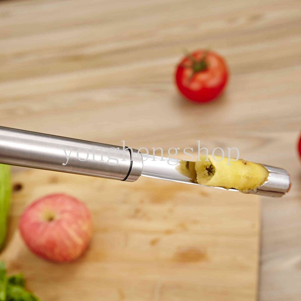 1pcs Stainless Steel Apple Pear Corer Remover Kurma Merah Alat Penghapus Inti Seeder Buah Sayur Gadget Dapur