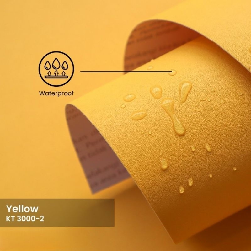 HidroAquatic - cat wall playground / cat playground / mainan kucing