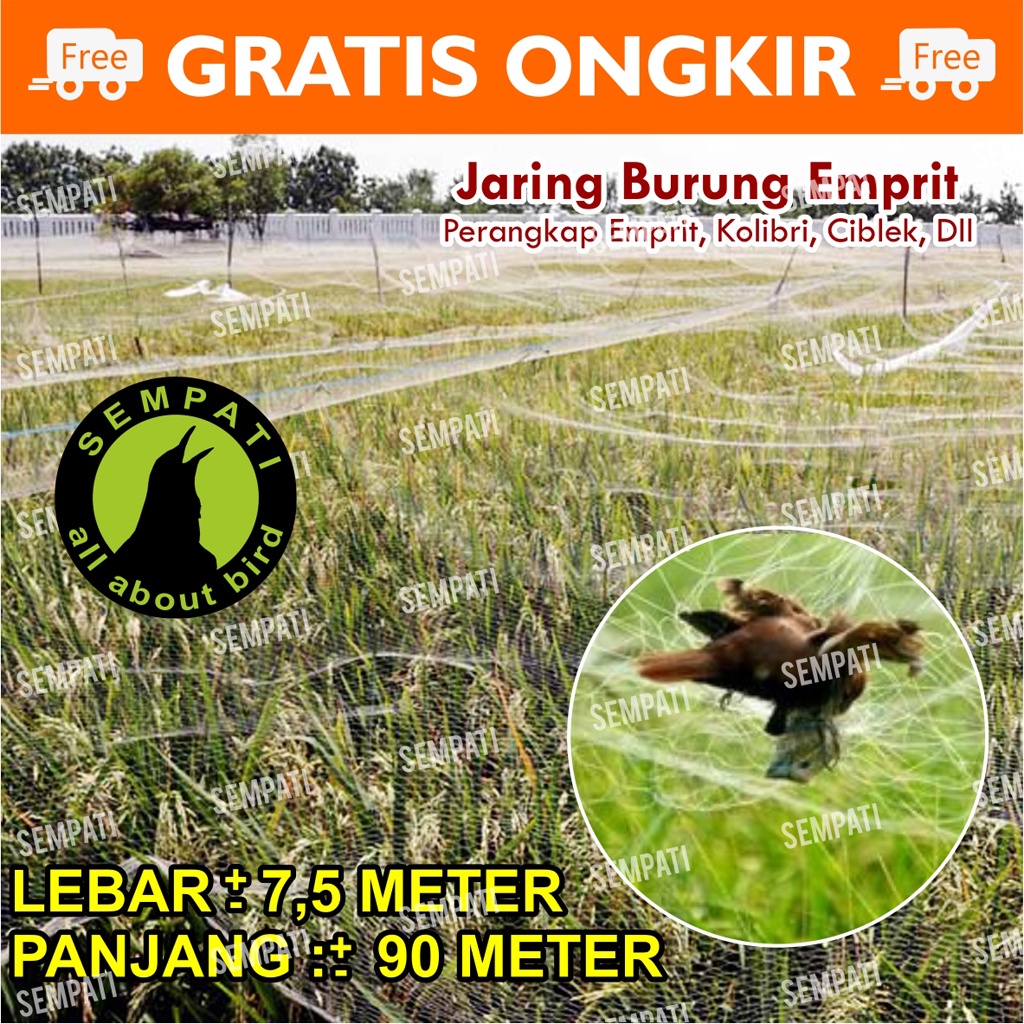 JARING BURUNG JARING PADI JARING EMPRIT JARING SAWAH 7,5 x 90 METER JEBAKAN PERANGKAP BURUNG JARING3