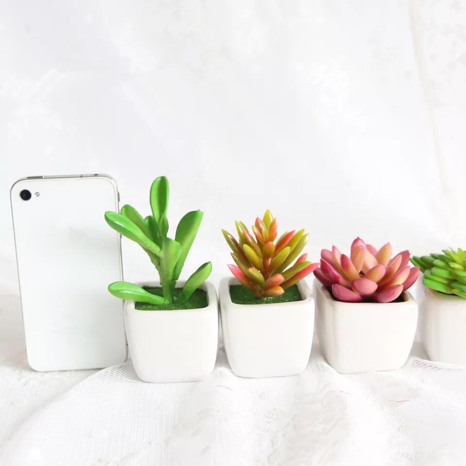 ENZ ® Tanaman Mini Imitasi Dengan Pot Succulent untuk Dekorasi Rumah 1059