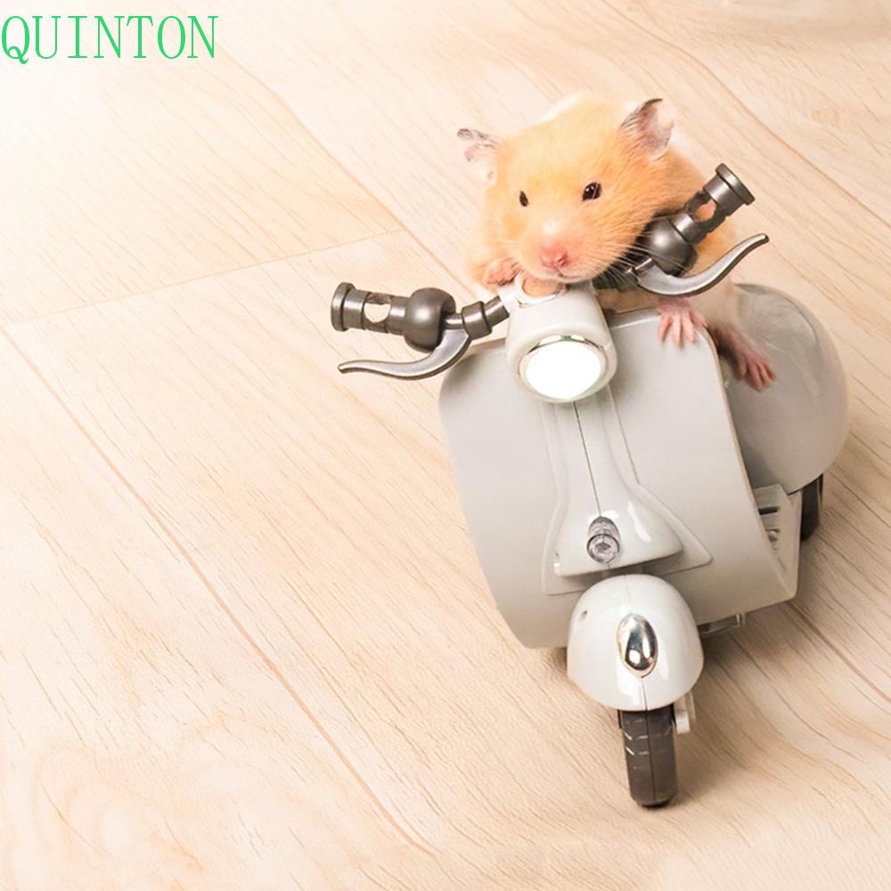 Quinton Motor Musik Mini Lighting Mainan Hamster Elektrik