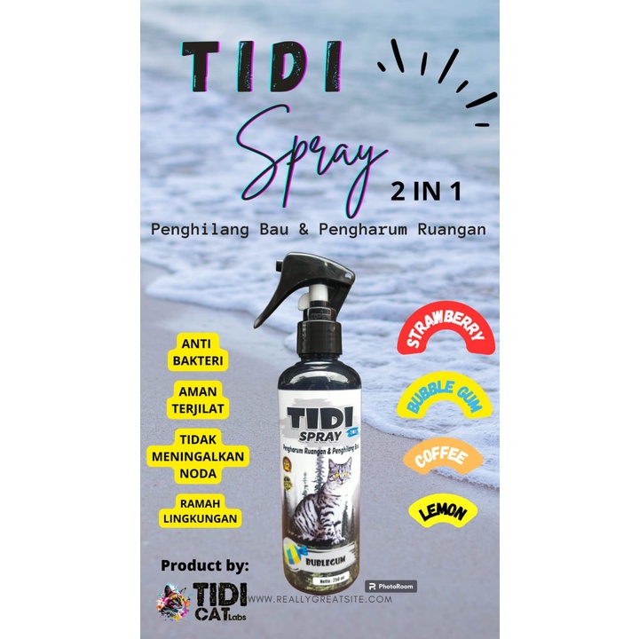 TIDI SPRAY PENGHILANG BAU 250 ML