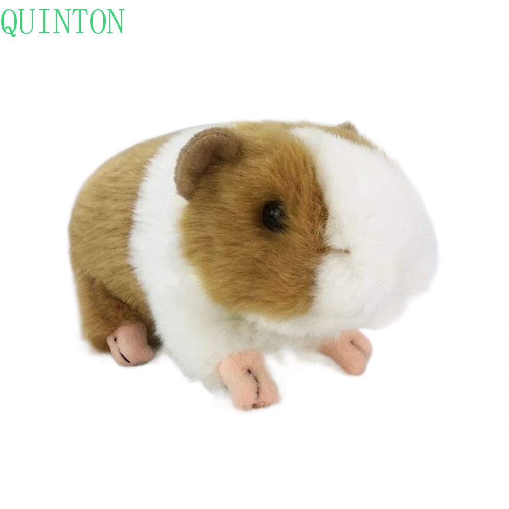 QUINTON Kemenkumhamimulasi alfinuinea alfinig alfinirthday ̽ift ̽ed erkapecor 18cm maroccotuffed marocconimal galihhildren hisyaifelike erkapouse galihamster dessyoll