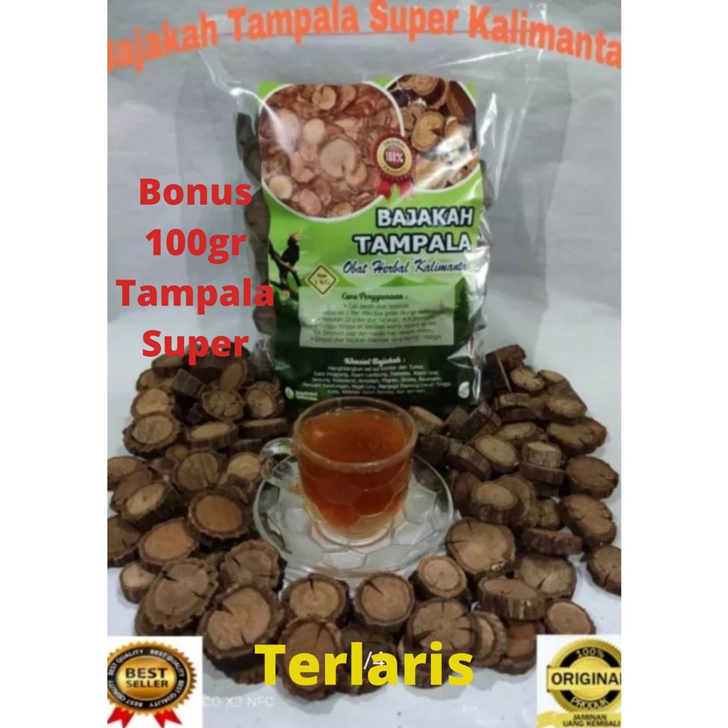 

Kayu Bajakah / Bajakah Tampala Super Asli Kalimantan 1 Kg