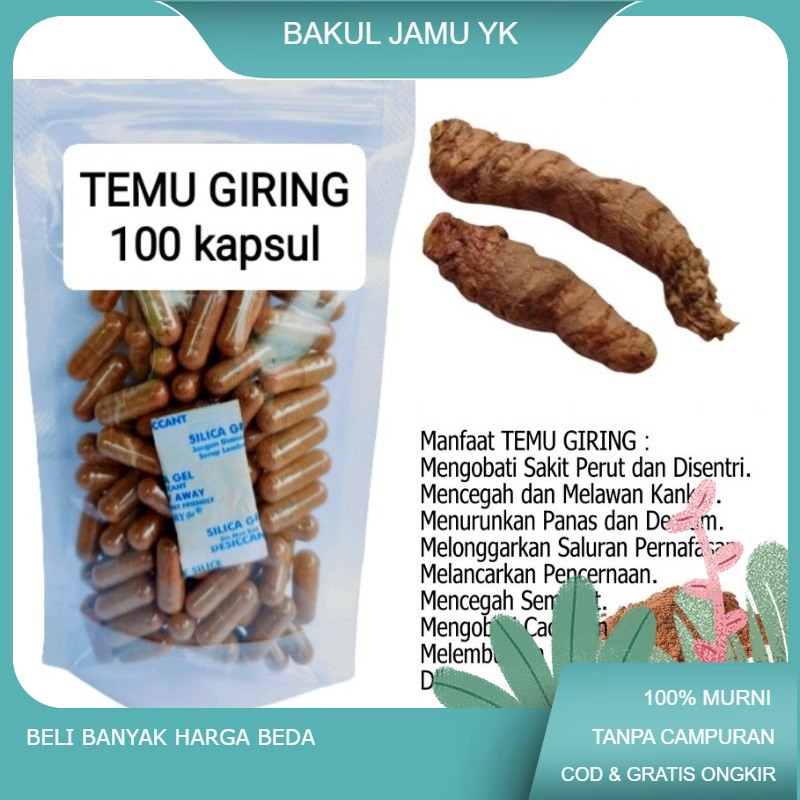 

TEMU GIRING (kuning gajah)/Curcuma heyneana isi 100 kapsul untuk nyeri sendi cacingan
