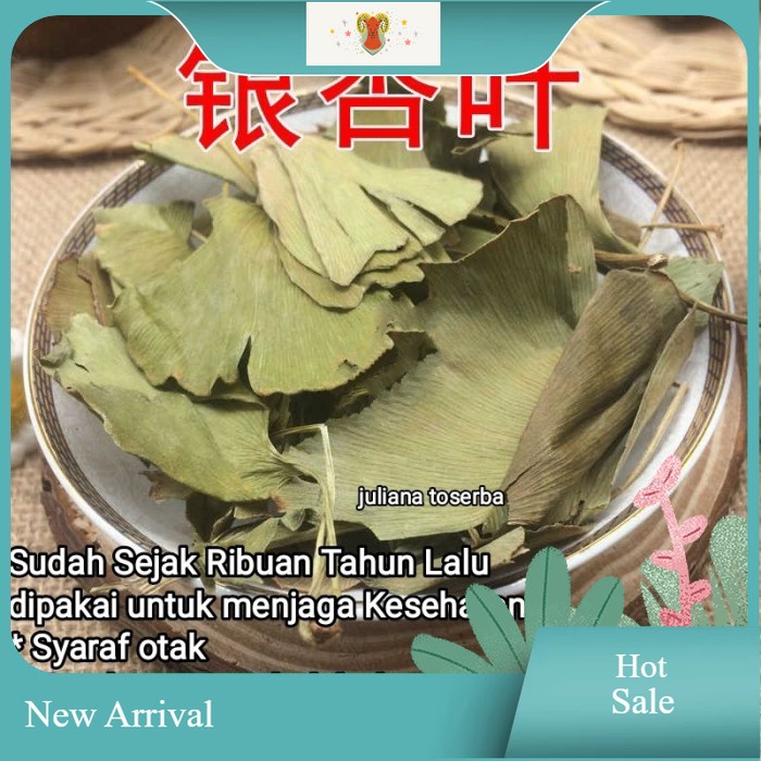 

Gingko Gingo Giloba Ginkgo Biloba Leaf Ginko Daun Pat Ko 100 Gr