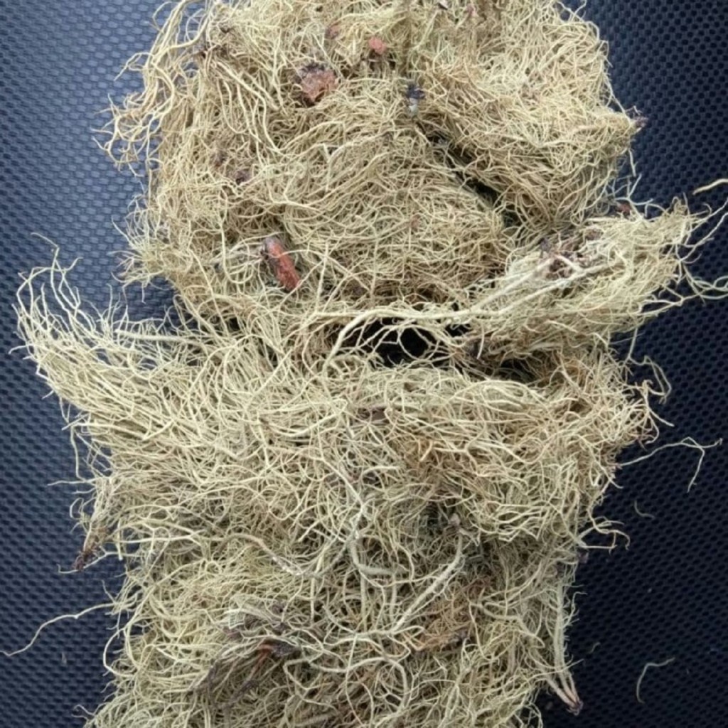 

Kayu Angin Kering Rempah Jamu Herbal Tradisional Obat Kumur Antiseptik