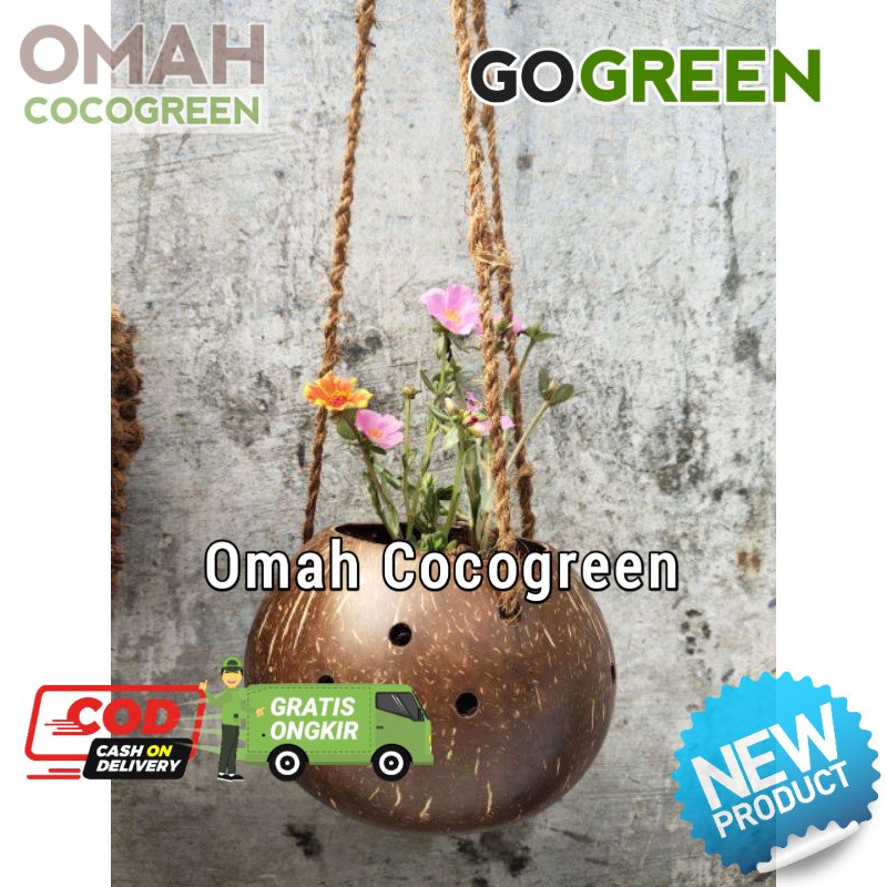 Pot gantung / pot batok kelapa gantung / pot sabut kelapa gantung