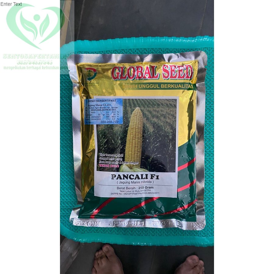 Benih Jagung Manis hibrida PANCALI F1 isi 250gram dari GLOBAL SEED