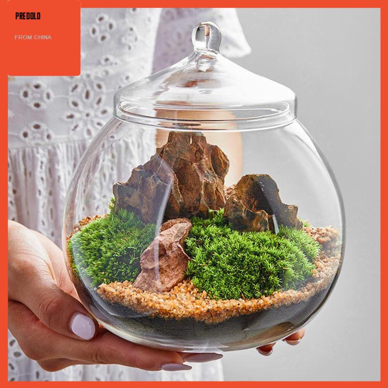 [Predolo] Planter Jar Sealed Storage Jar Terrarium Kaca Hias Untuk Gula Teh