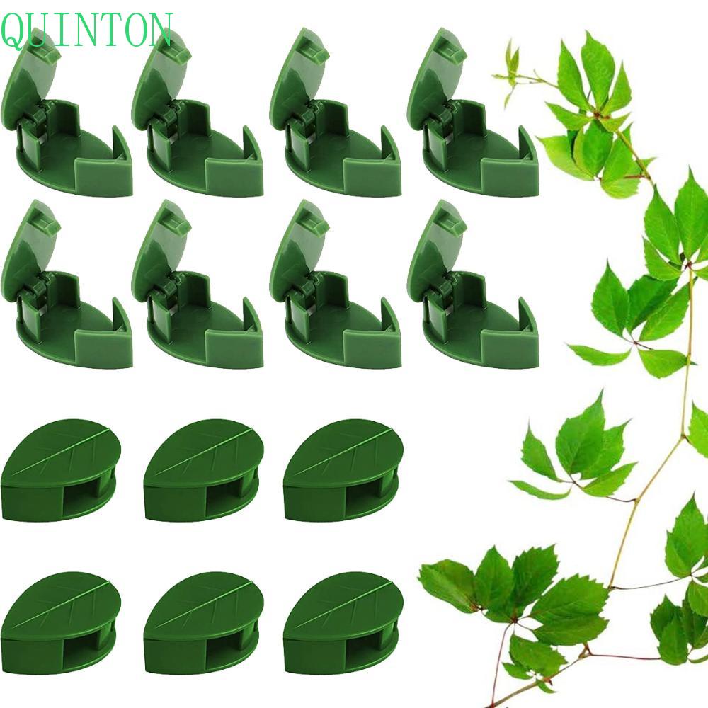 Quinton Klip Panjat Tanaman Taman 50 /100Pcs Holder Kawat Pendukung Memperbaiki Perekat Diri Tanaman Merambat Traksi