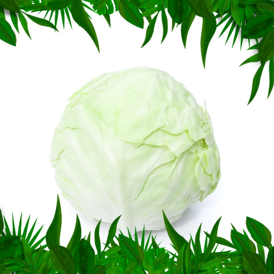 

SAYURAN FRESH NUSANTARA - Kol Putih (+-500gr)