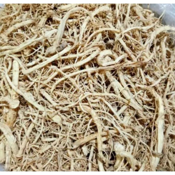 

Akar Ginseng Kering 1 Kg Organik Superfood Multivitamin Pure Herbal