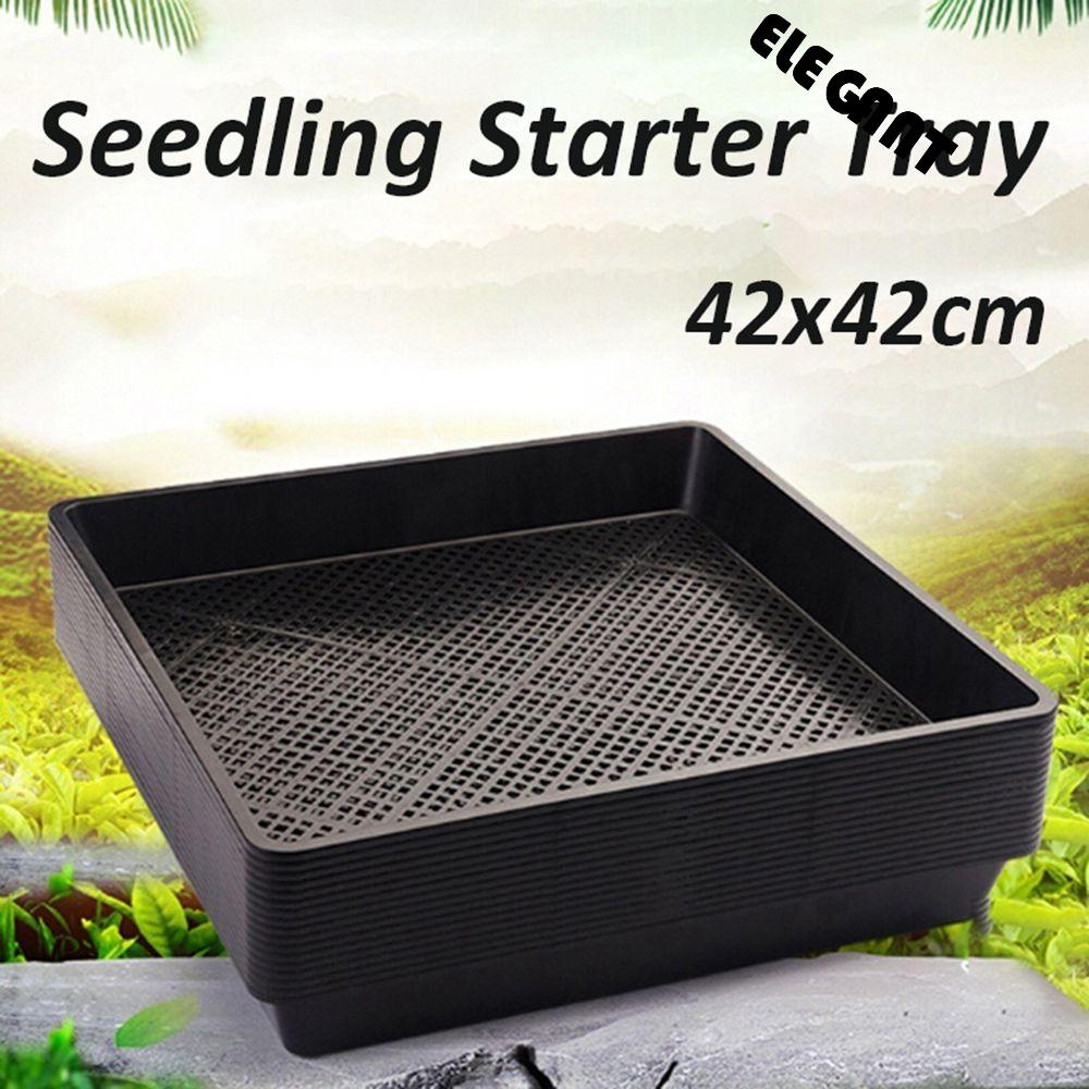 Seedling Starter Tray 1pc Penumbuh Tanaman Rambatan Tanaman Perlengkapan Taman