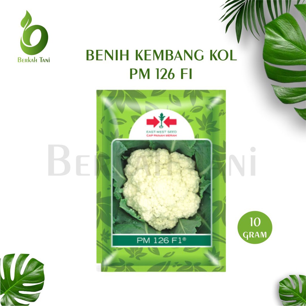 Benih Kembang Kol PM 126 F1 (10 Gram) - Bibit Bunga Cap Panah Merah