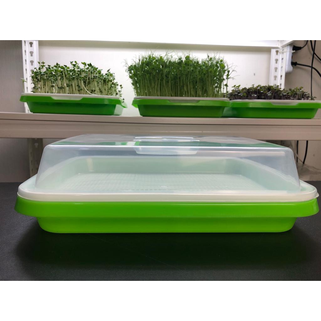 Tutup Tray Microgreen (Tidak Termasuk Tray)