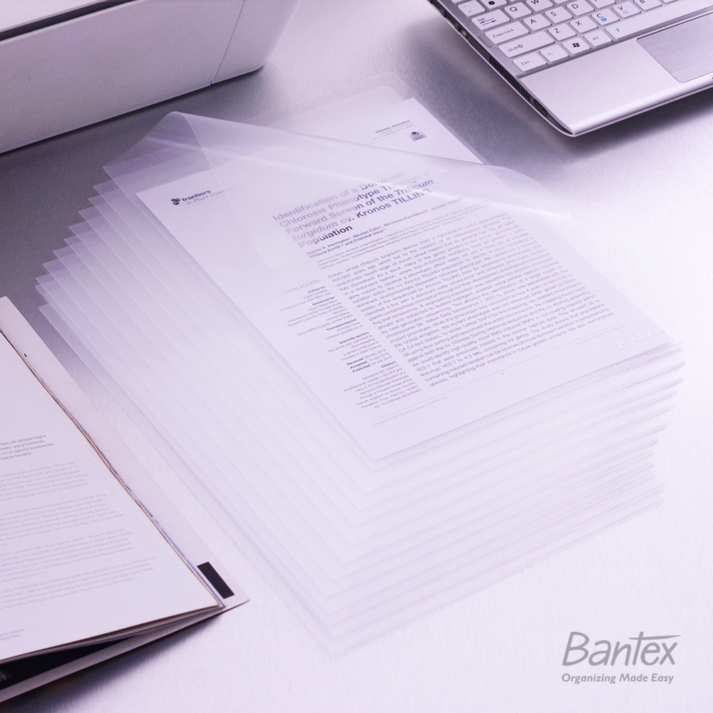

Bantex Map L Plastik Bening Clear Sleeve Folio F4 Transparan