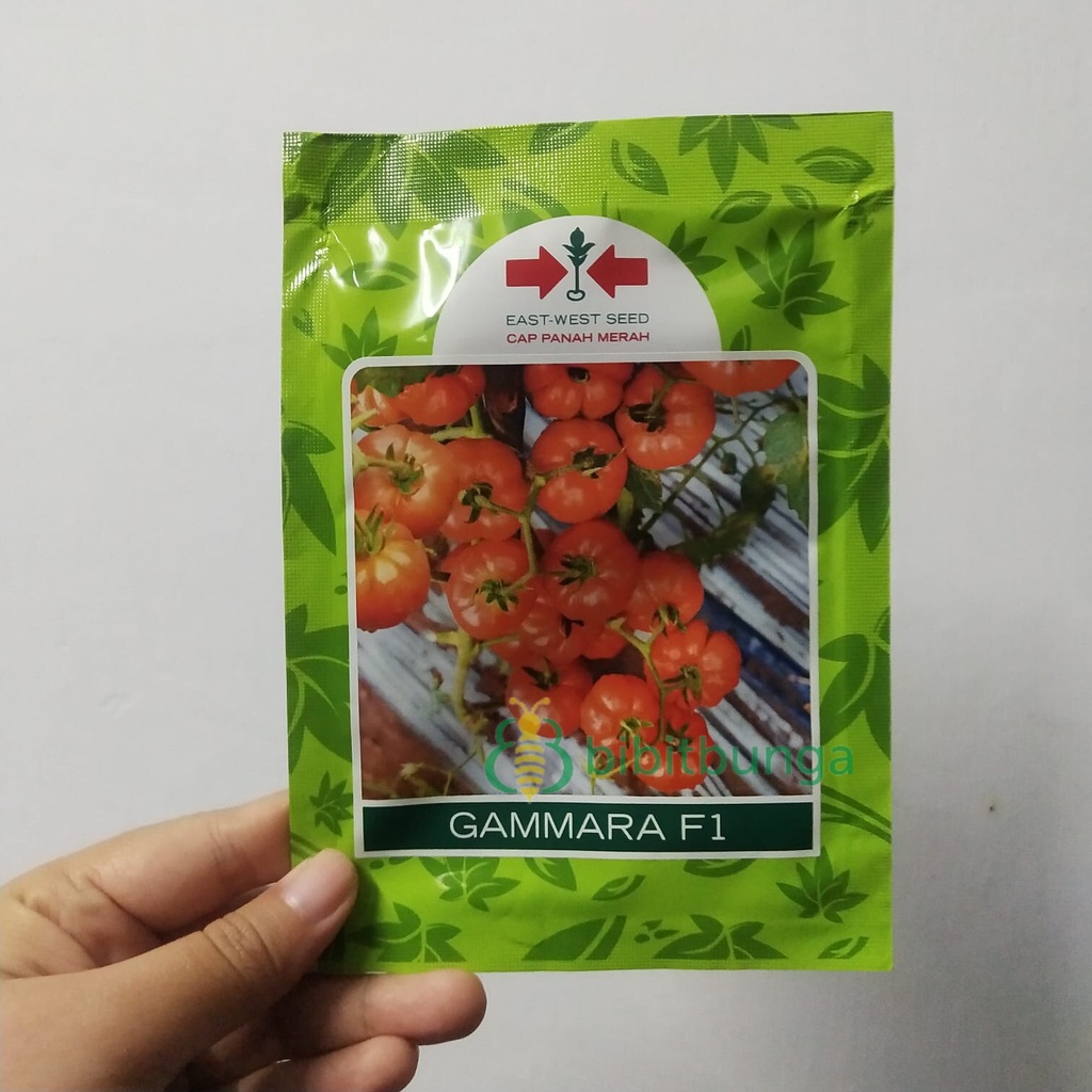 Benih Bibit Tomat Gammara 1750 Biji Keriting Mawar Sayuran Panah Merah