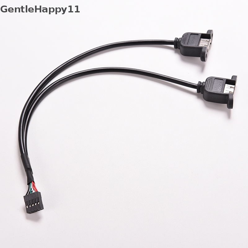 Gentlehappy 1pc Hitam 30cm/1FT 2port USB A Female Ke Kabel Adaptor Header 9pin Internal id