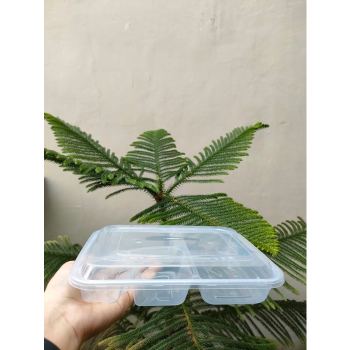 Thinwall bento sekat 4 bintang / kotak makan star