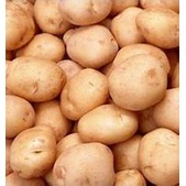 

EXPRESS Kentang Segar 500 gr Masih Fresh