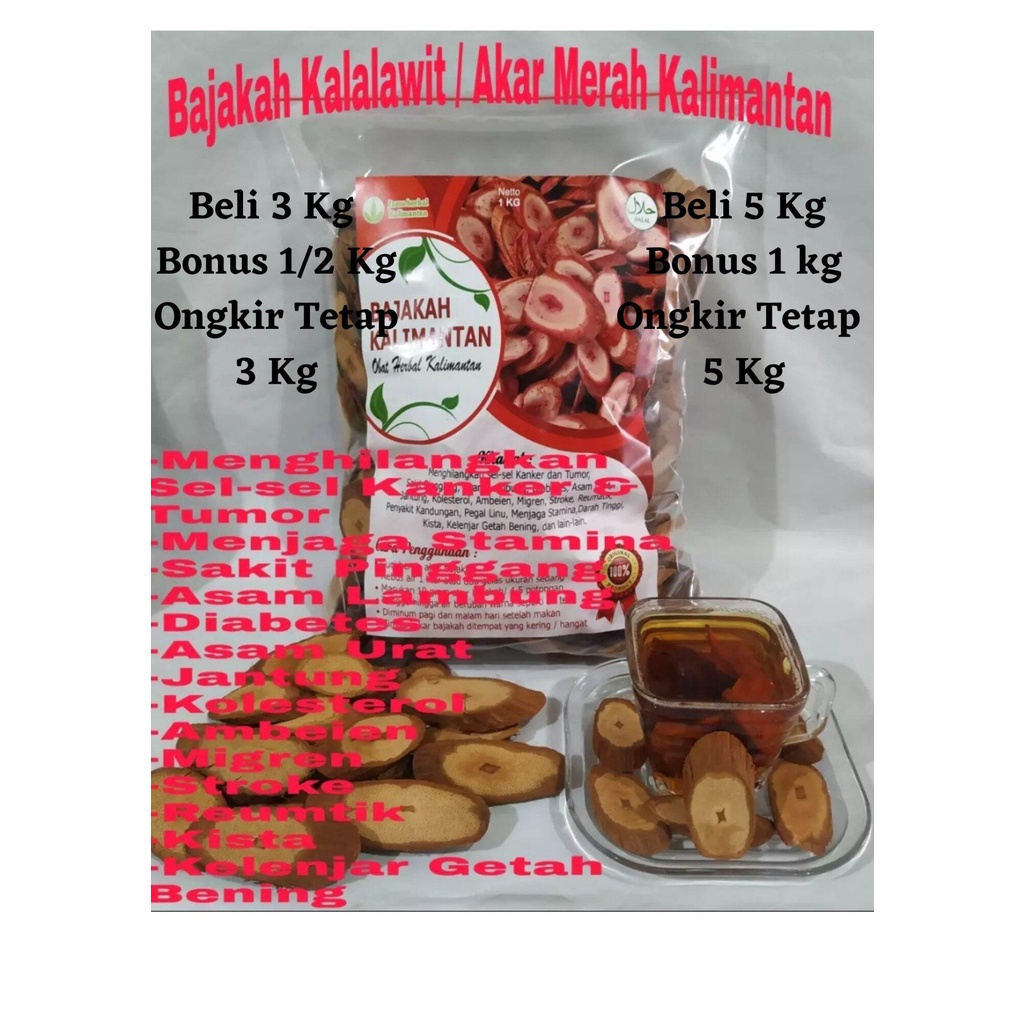 

Akar Kayu Bajakah Kalalawit Asli Kalimantan 1 Kg TERLARIS