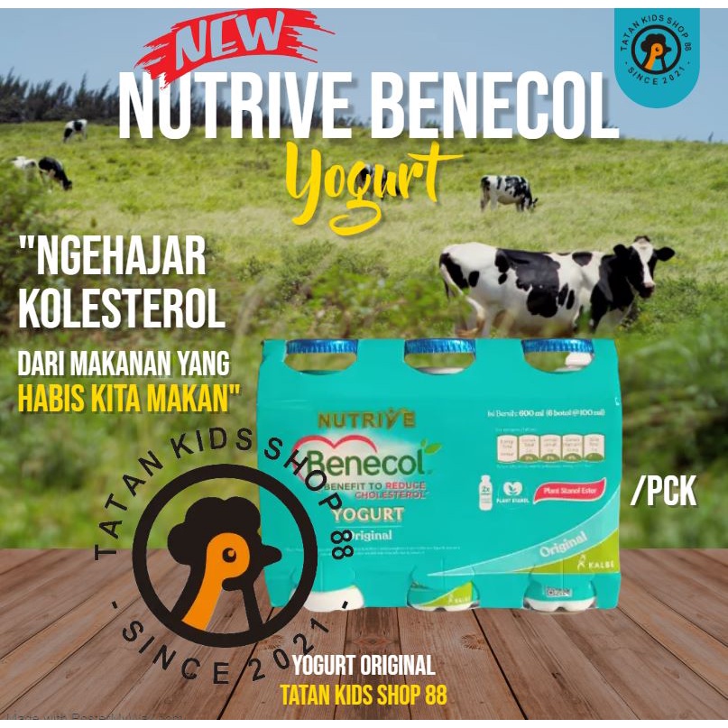 

Nutrive Benecol Yoghurt Untuk Kolesterol 6 Botol 100ml