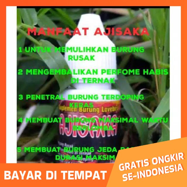 

Air goib dhera sf aji saka